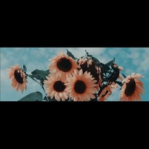 Meet your Posher, Kunetta